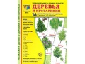 Демонстрационные картинки СУПЕР. Деревья и кустарники (16 шт.)