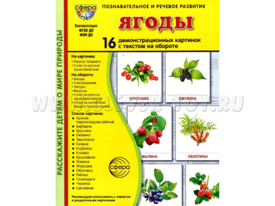 Демонстрационные картинки СУПЕР. Ягоды (16 шт.) в папке