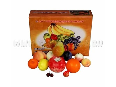 Набор муляжей фруктов (большой)